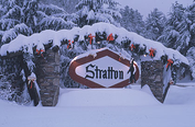 sales at stratton