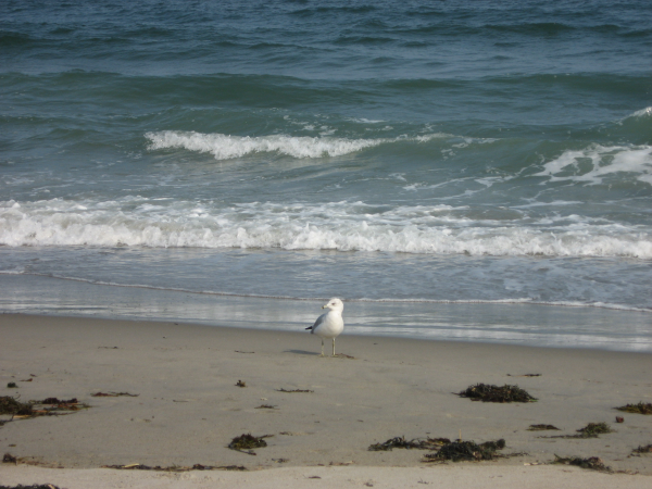 Sales and sand
