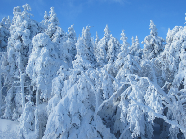 Sales at Stratton