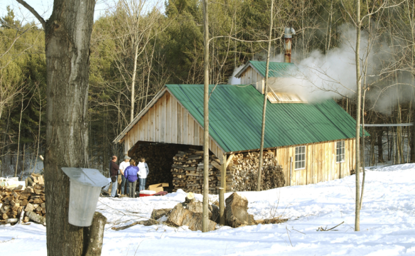 Vermont Maple Syrup resized 600