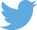 describe the image