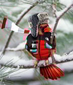 Bird Dressed-For-Winter 050920-1
