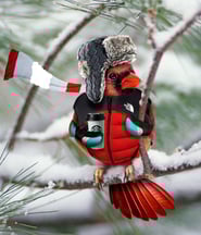 Bird Dressed-For-Winter 050920-1
