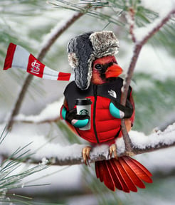 Bird Dressed-For-Winter 050920