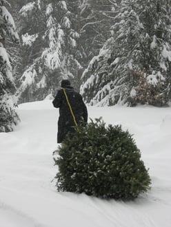 Chopping Down the Christmas Tree in VT-1