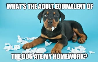 Dog Ate My Homework