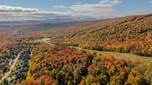 Fall Foliage october-2-2024