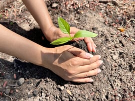 Fingers in the dirt