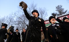 Punxsutawney Phil 2026