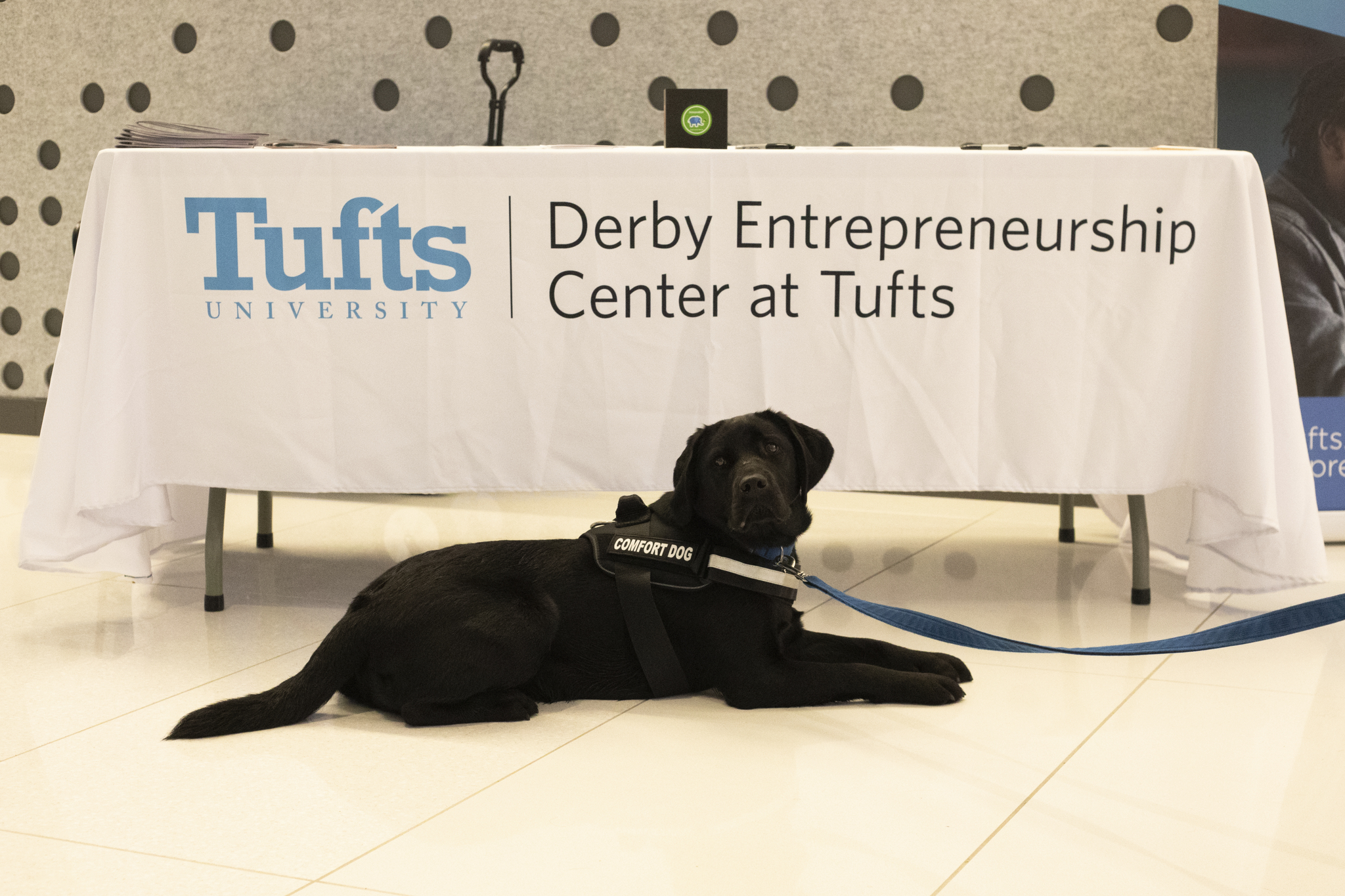 Tufts Graduation Celebration 0524-1