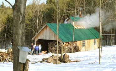 Vermont Maple Syrup