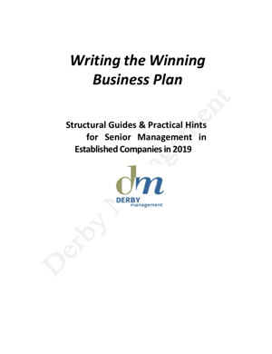 Business Plan for Established Companies