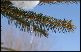 spring snow melting