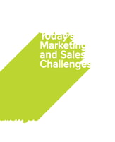 Sales and Marketing Challenges